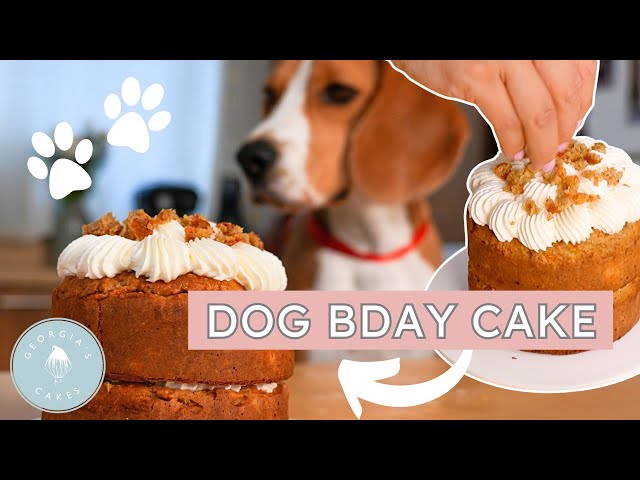 Decorated Dog Cake