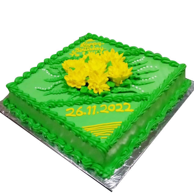 Brazil Flag Decorated Cake