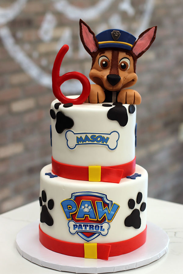 Paw Patrol Decorated Cake