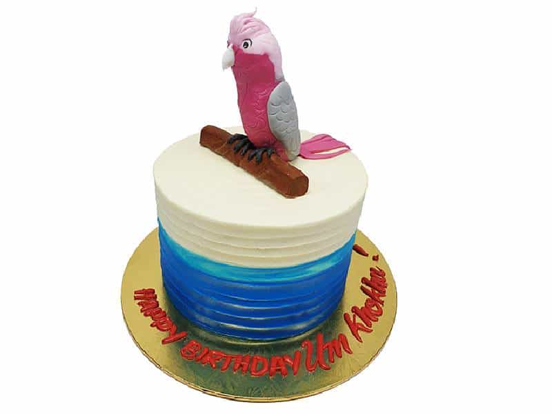 Parrot Decorated Cake