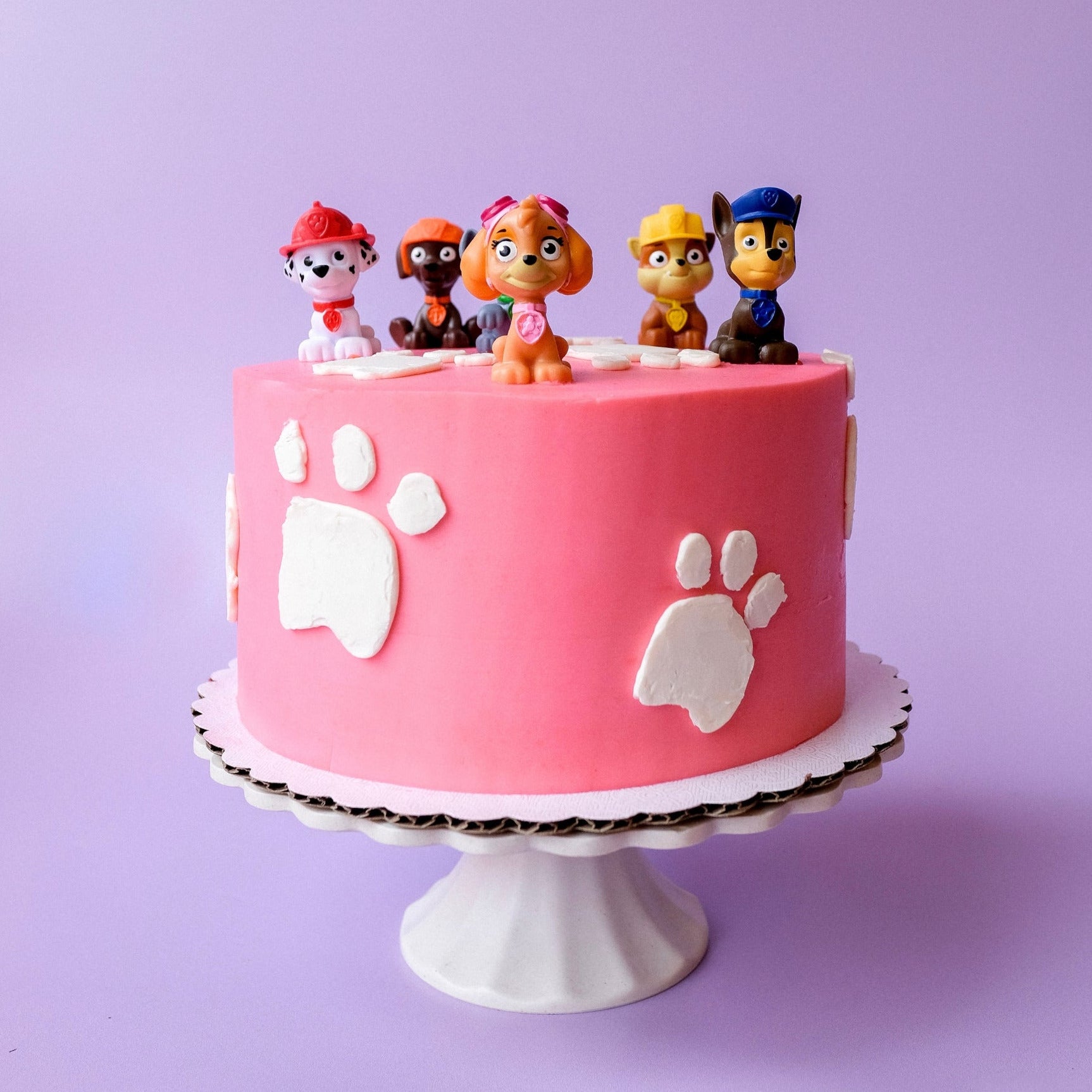 Paws Decorated Cake