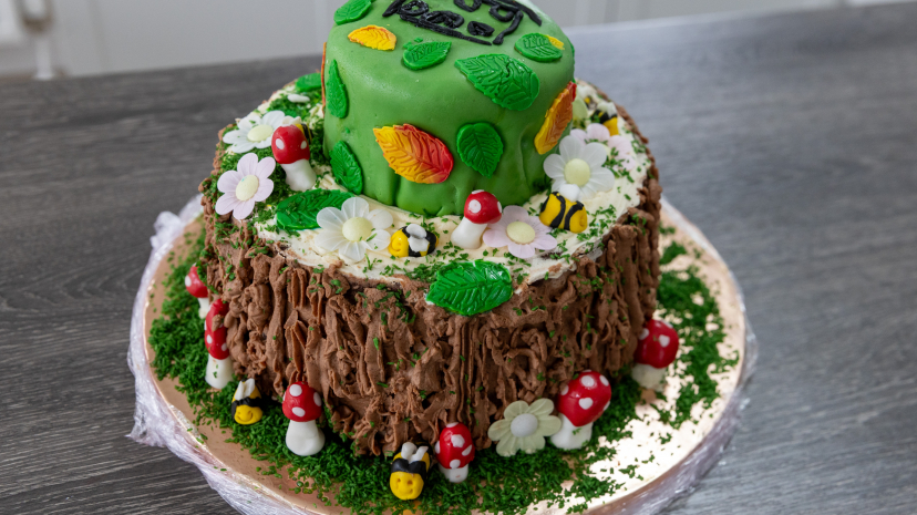 Forest Decorated Cake