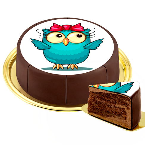 Owl Decorated Cake