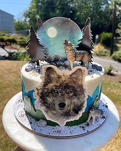 Wolf Decorated Cake