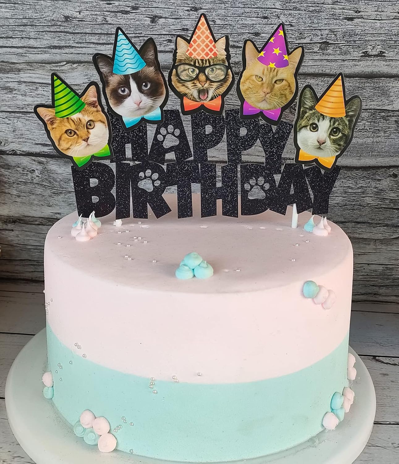 Decorated Cake Kittens