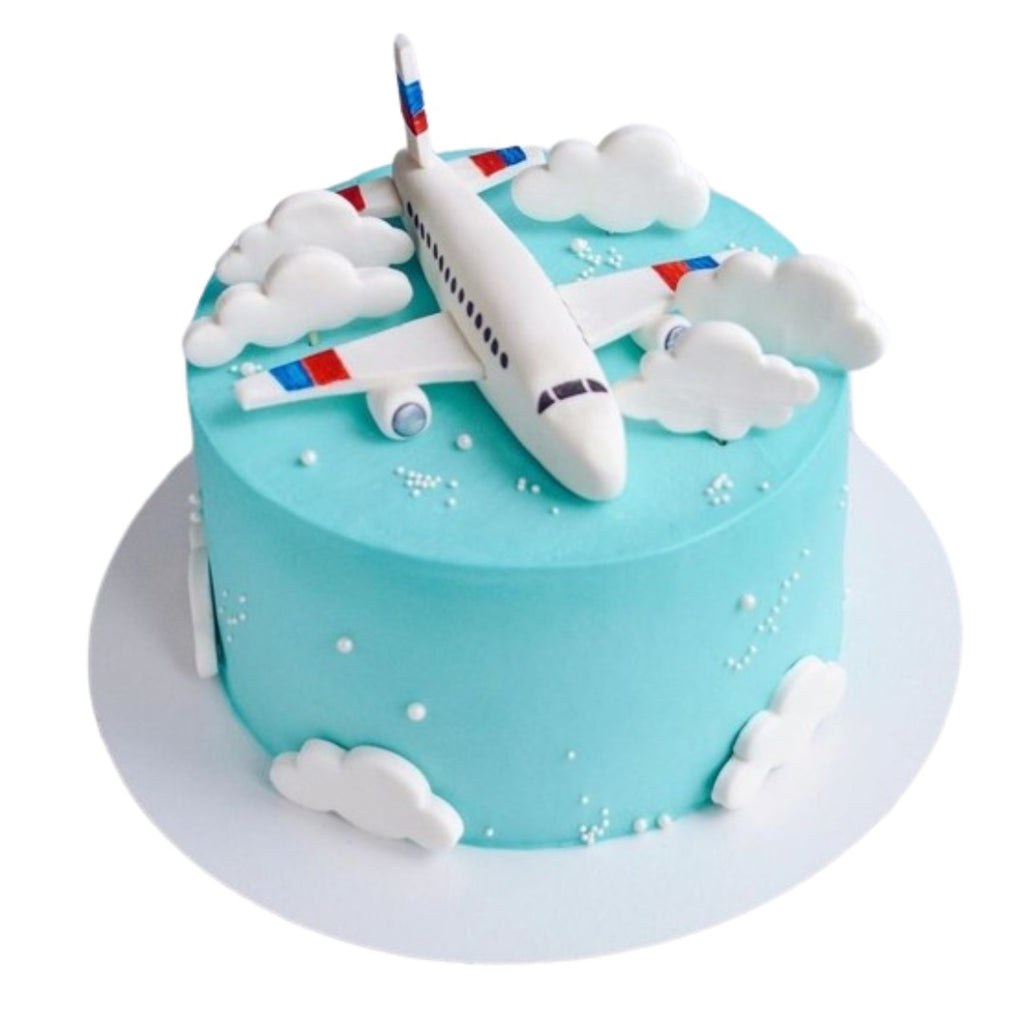 Airplane Decorated Cake