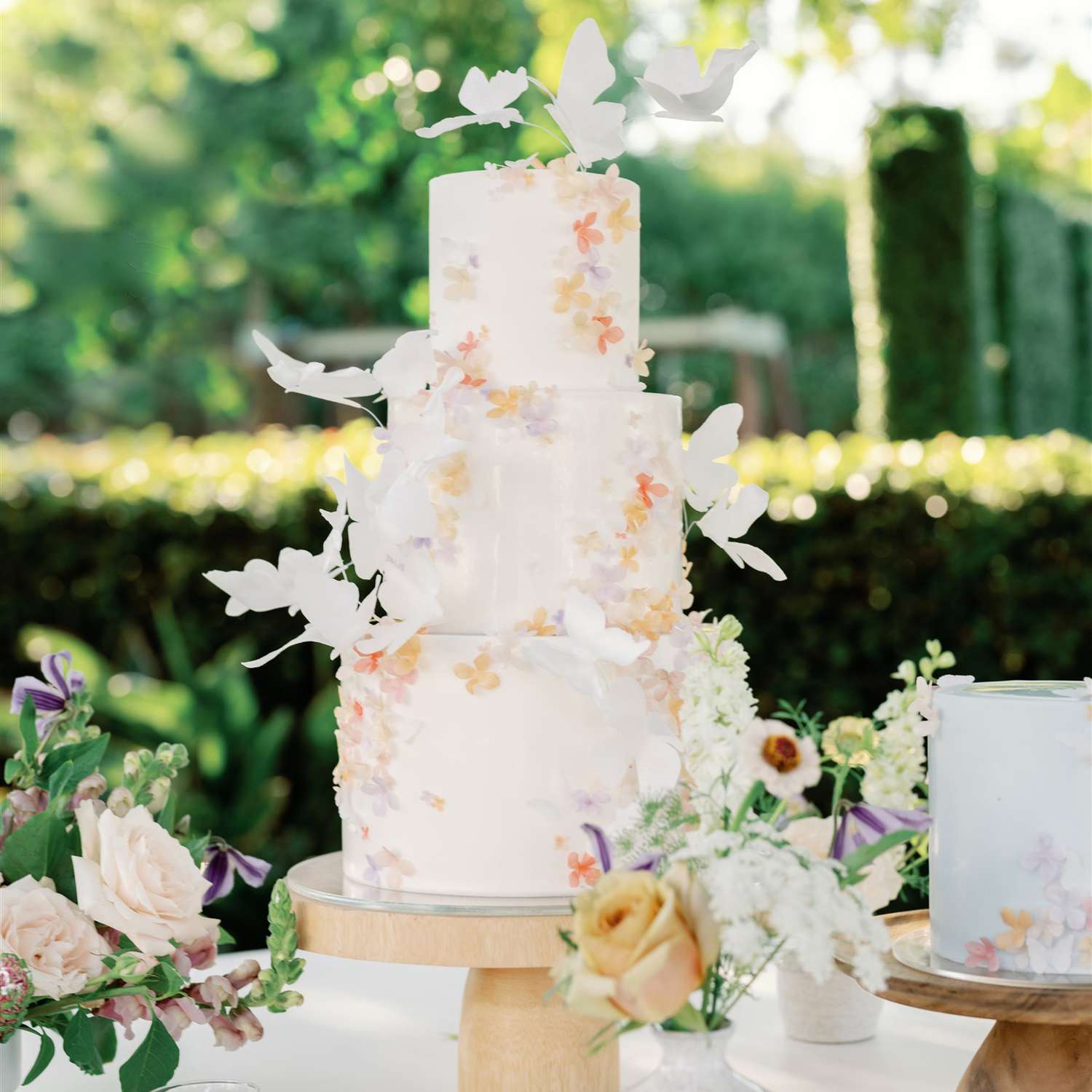 butterfly decorated cake