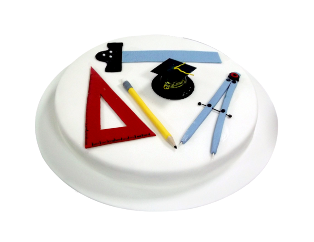 Mathematics Decorated Cake