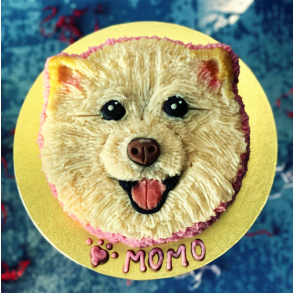 Decorated Dog Cake