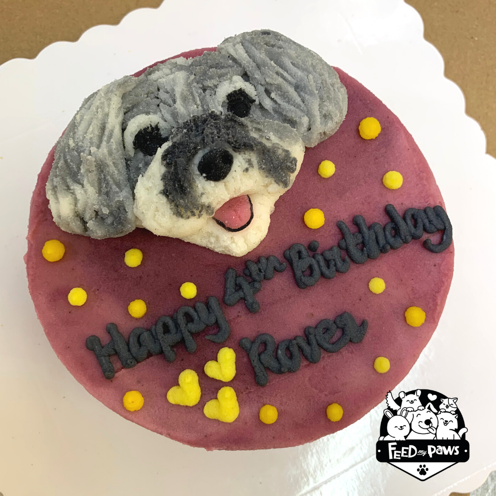 Decorated Dog Cake