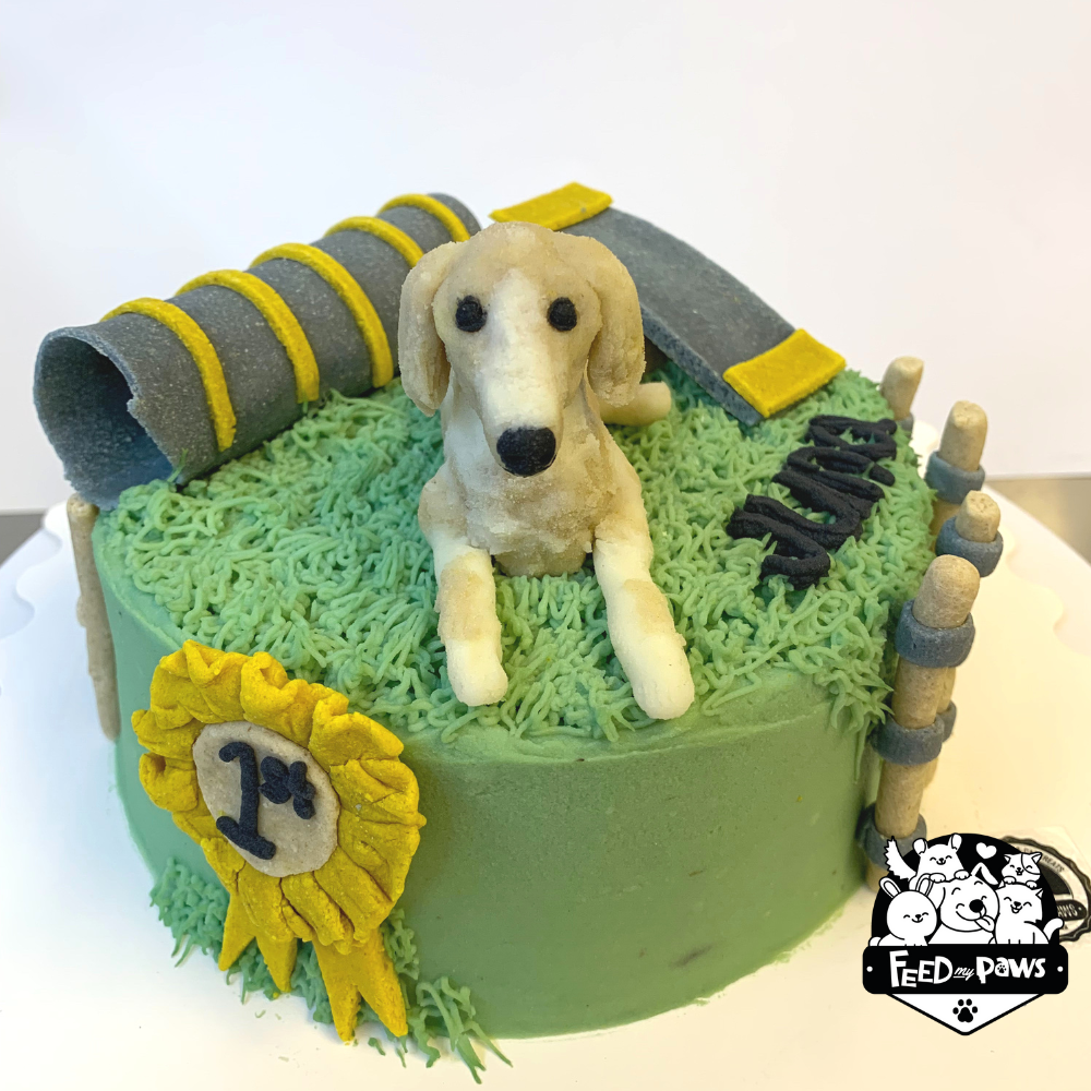 Decorated Dog Cake