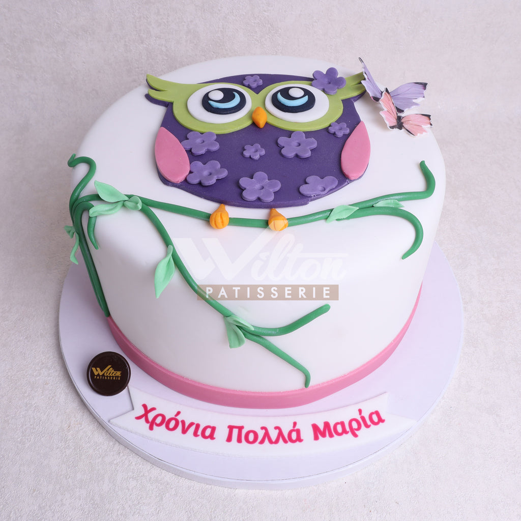 Owl Decorated Cake