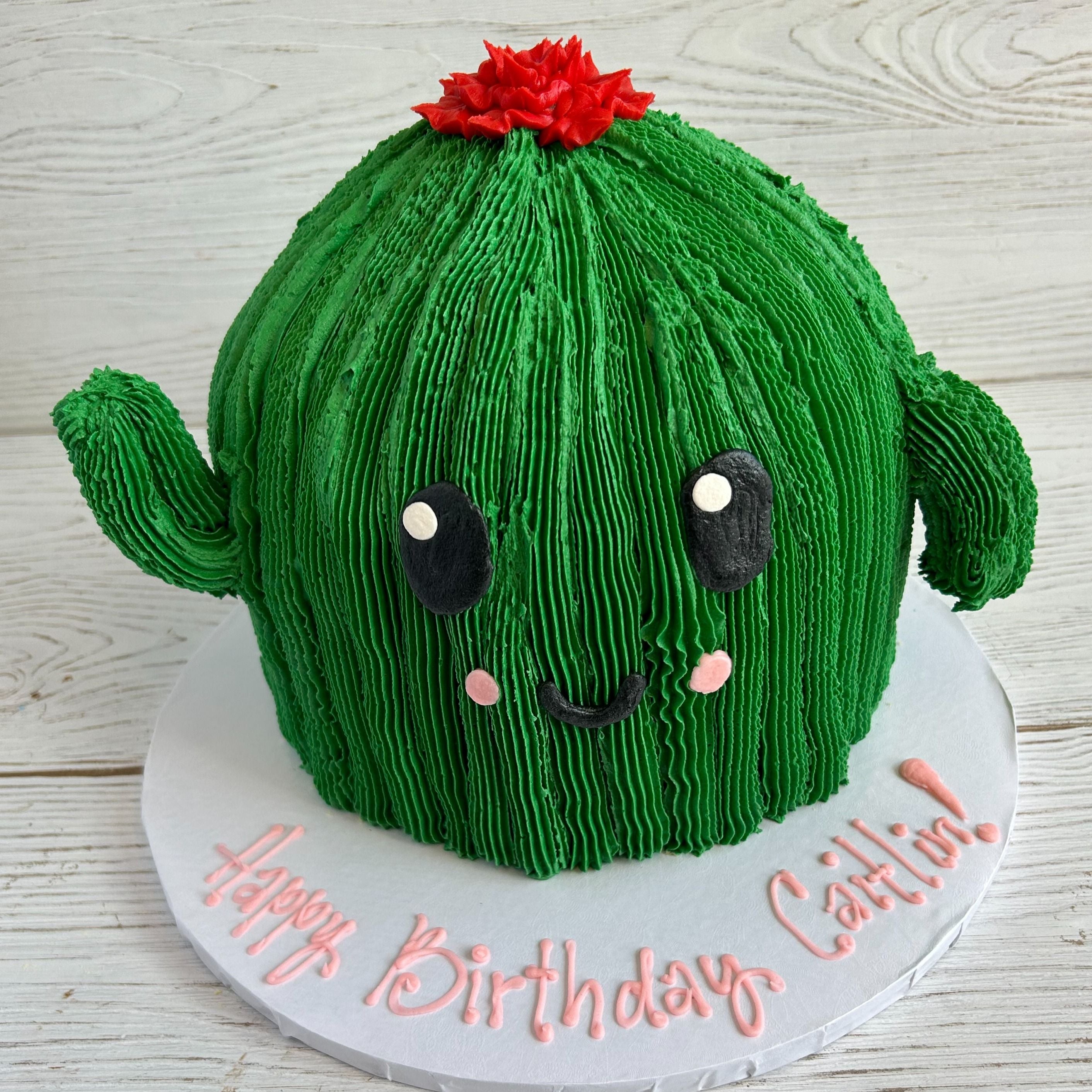 Cactus Decorated Cake