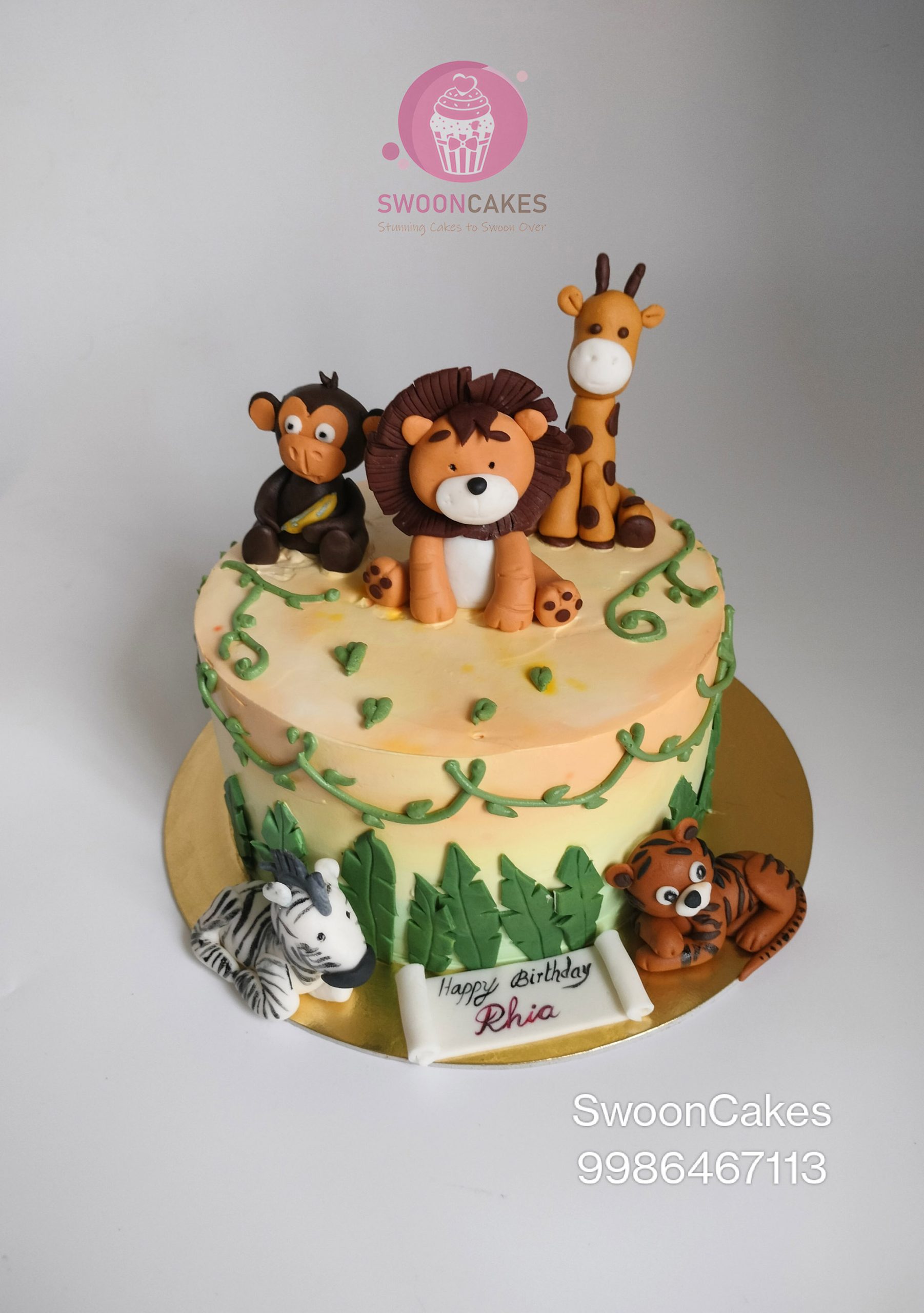 Veterinary Decorated Cake