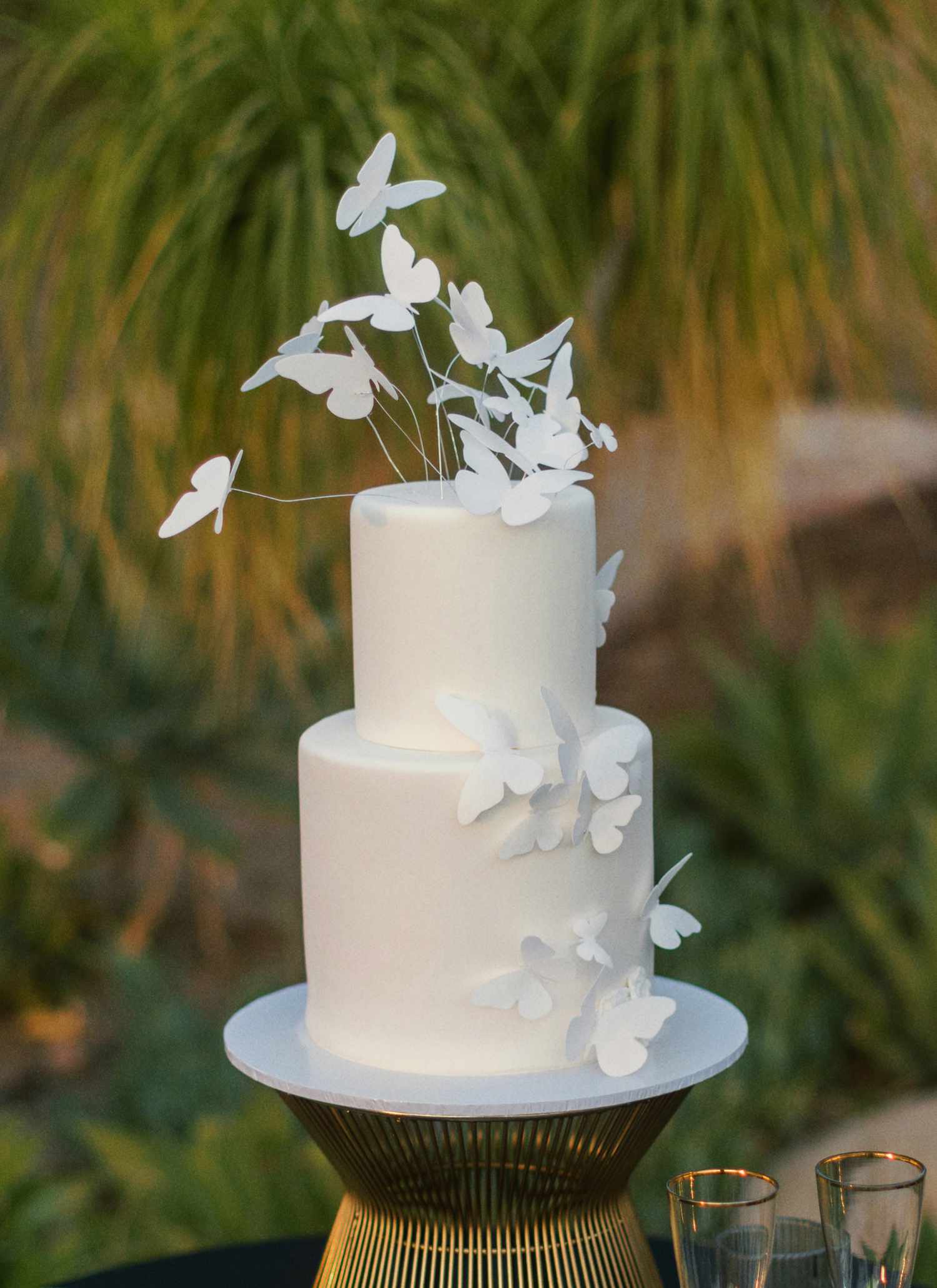 butterfly decorated cake