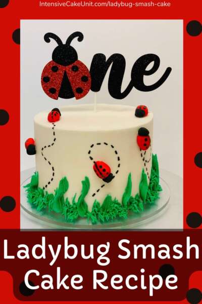 Ladybug Decorated Cake