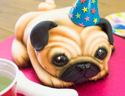 Pug Decorated Cake