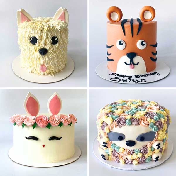 Veterinary Decorated Cake