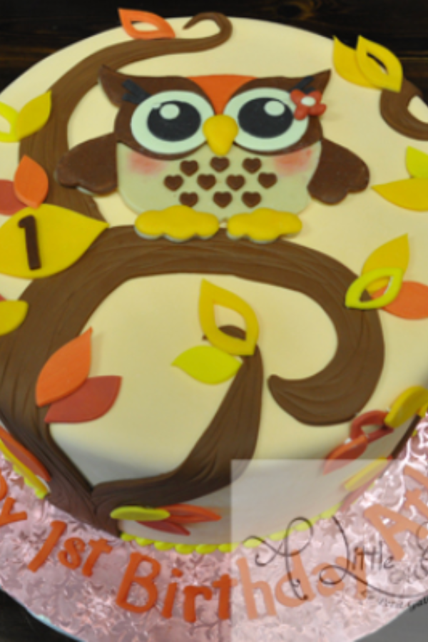 Owl Decorated Cake