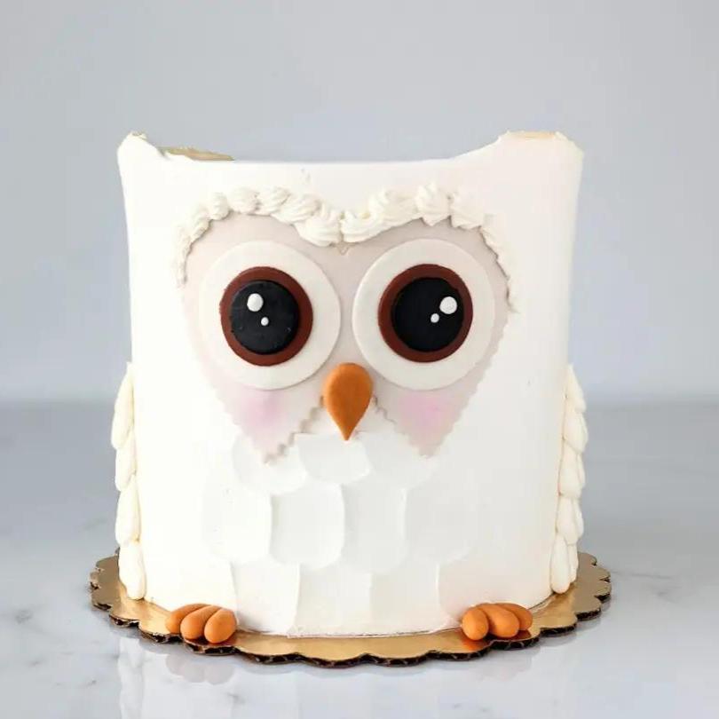 Owl Decorated Cake