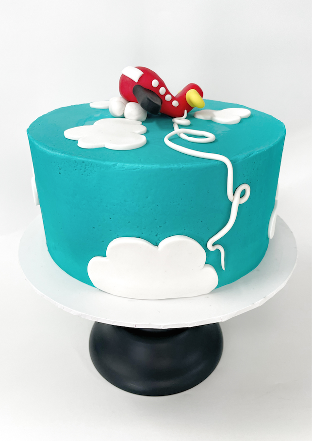 Airplane Decorated Cake