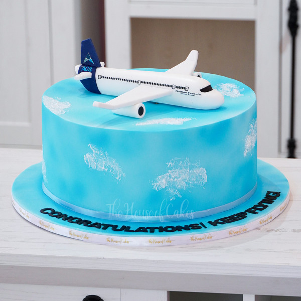 Airplane Decorated Cake