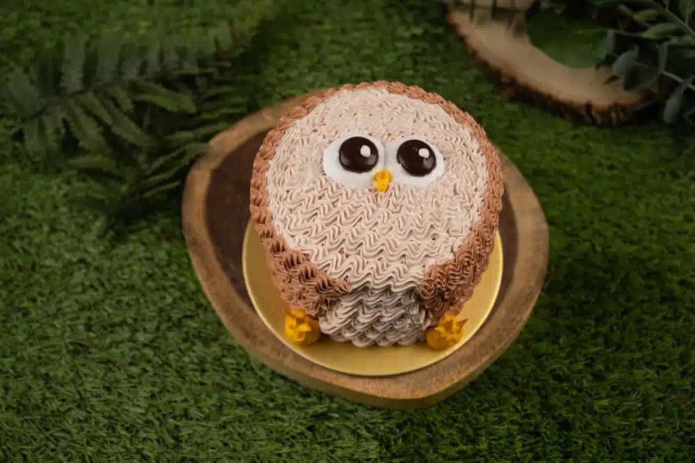 Owl Decorated Cake