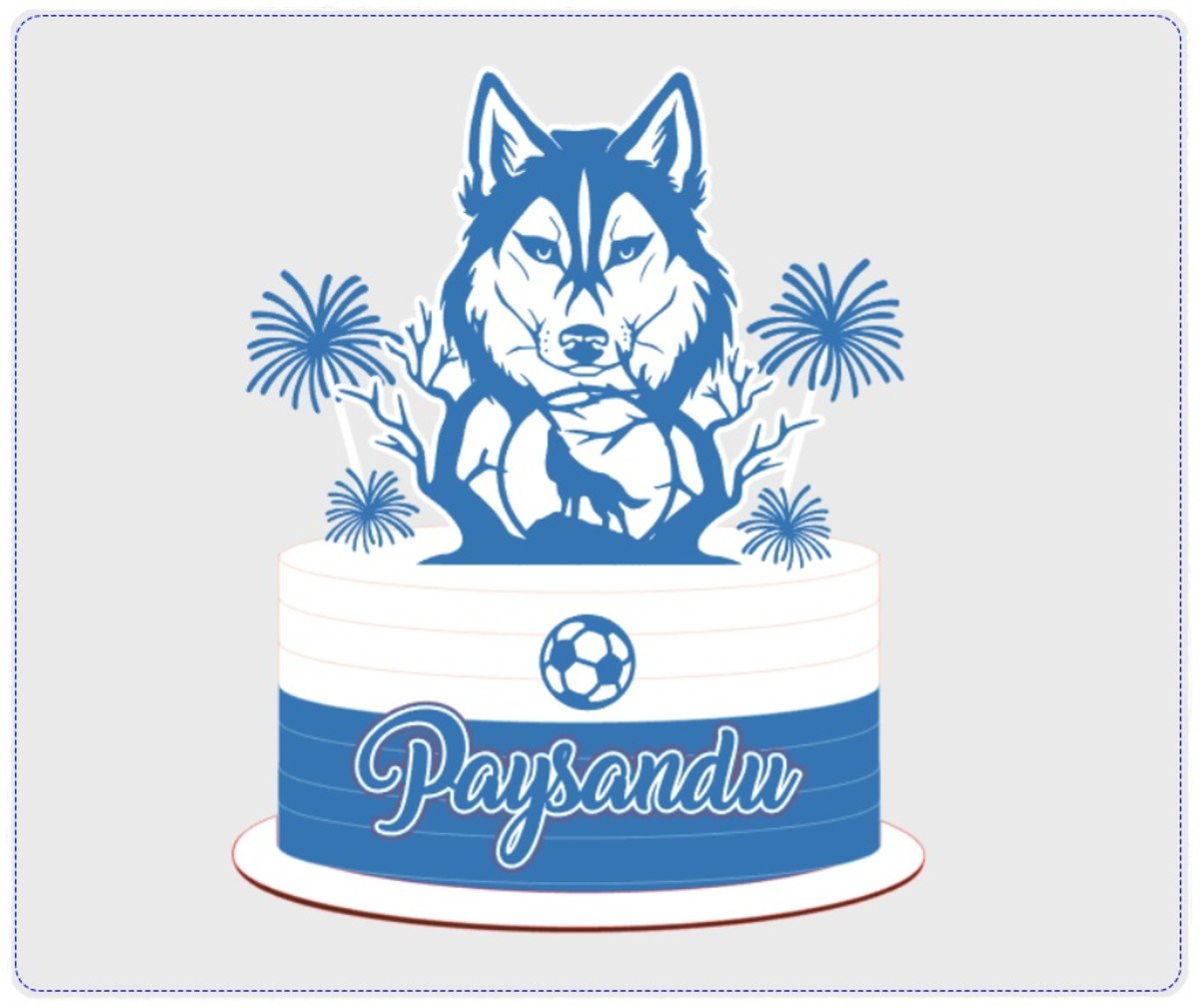 Paysandu Decorated Cake