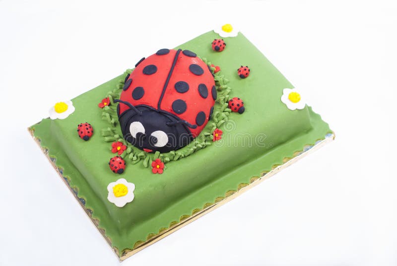 Ladybug Decorated Cake