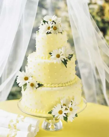 Decorated Cake Daisies