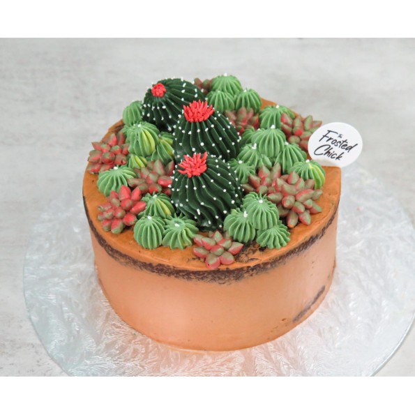 Cactus Decorated Cake