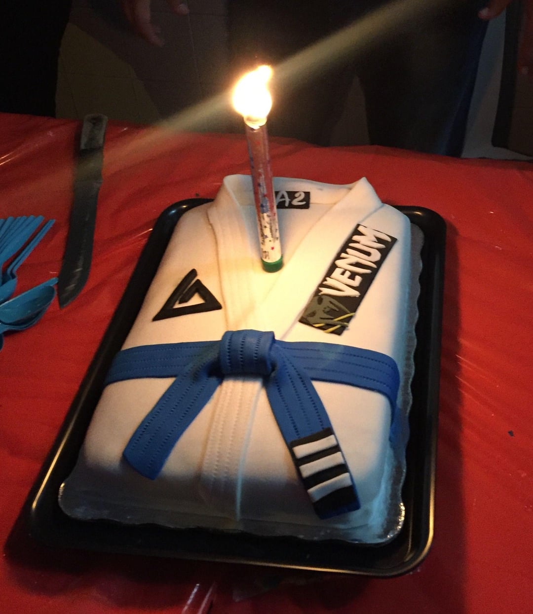 Jiu Jitsu Decorated Cake