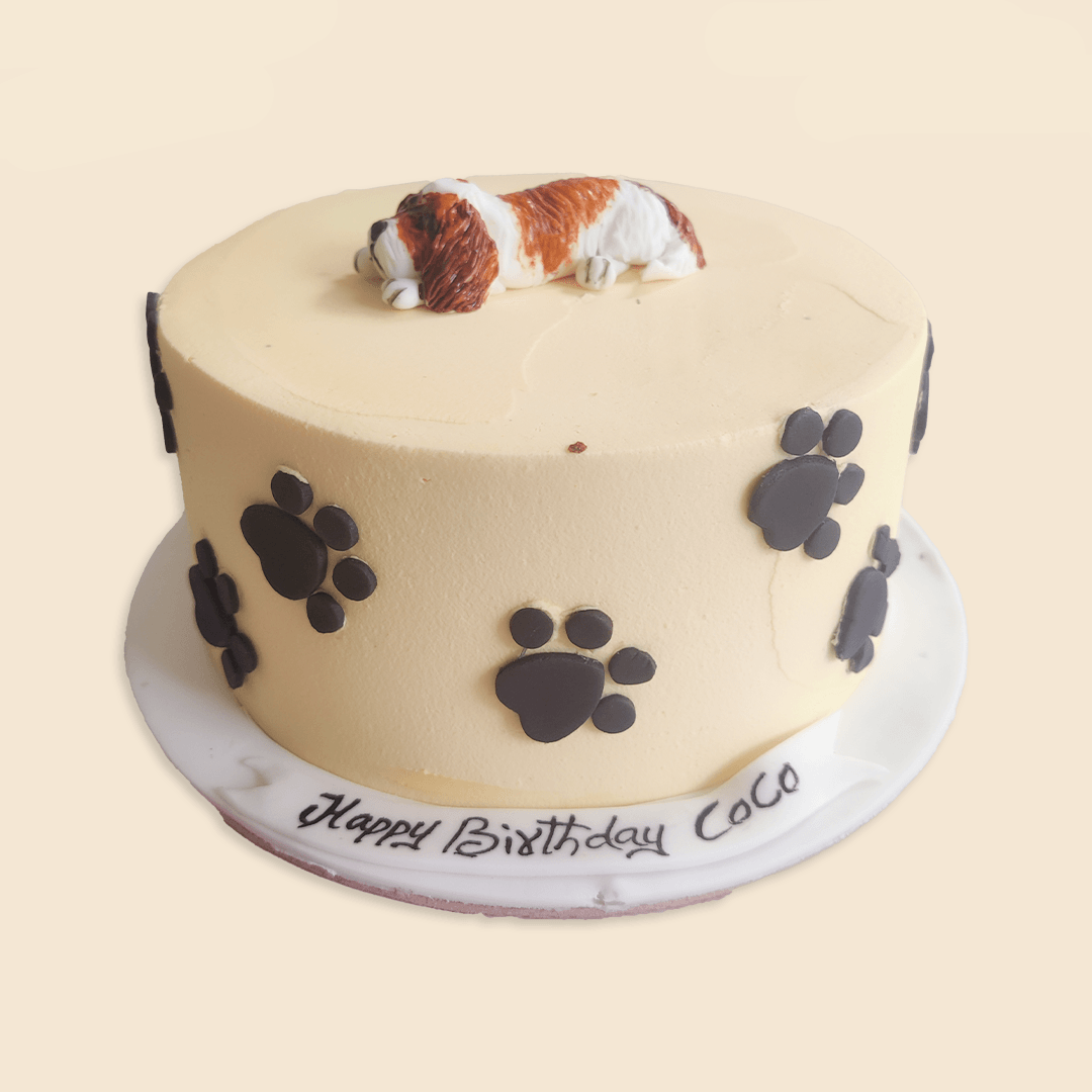 Decorated Dog Cake