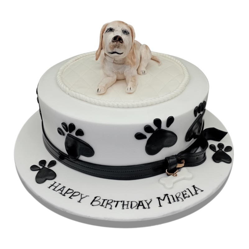 Decorated Dog Cake