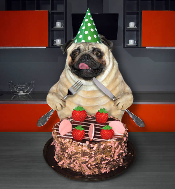 Pug Decorated Cake