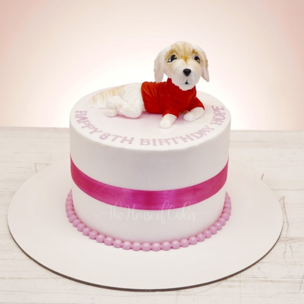 Decorated Dog Cake