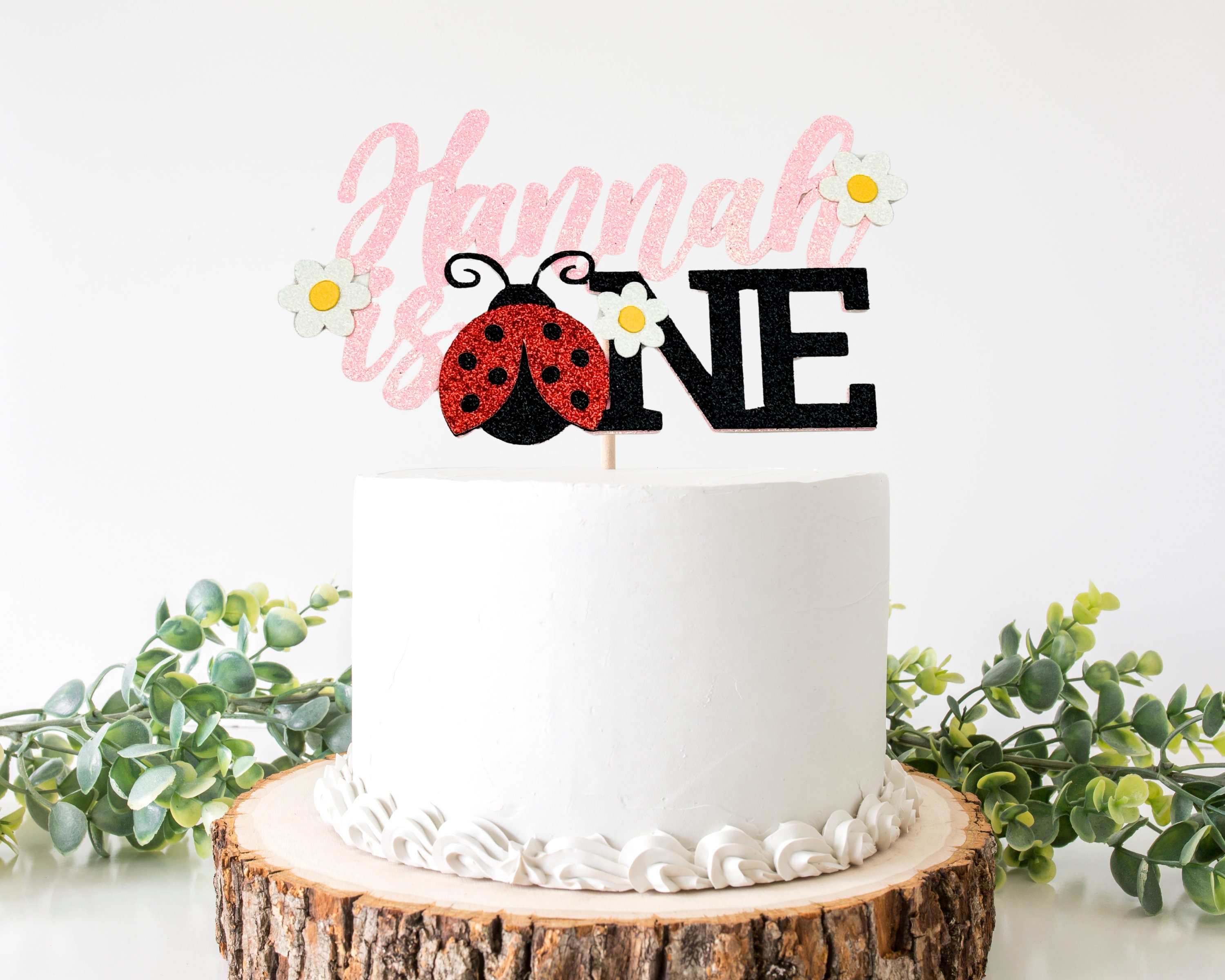 Ladybug Decorated Cake