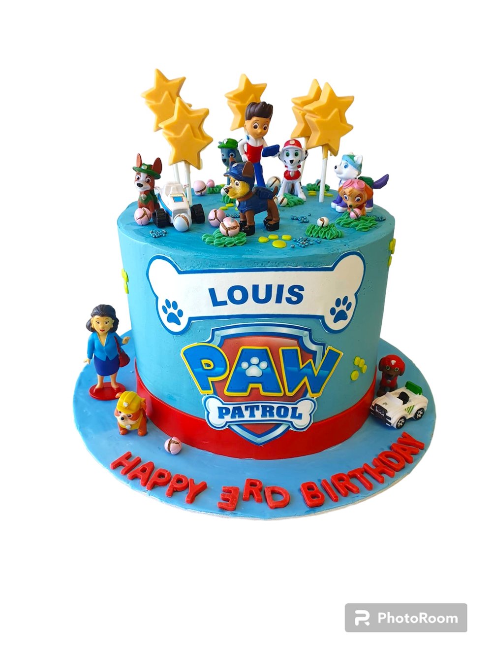 Paw Patrol Decorated Cake