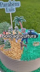 Bolo Decorado Agricultura