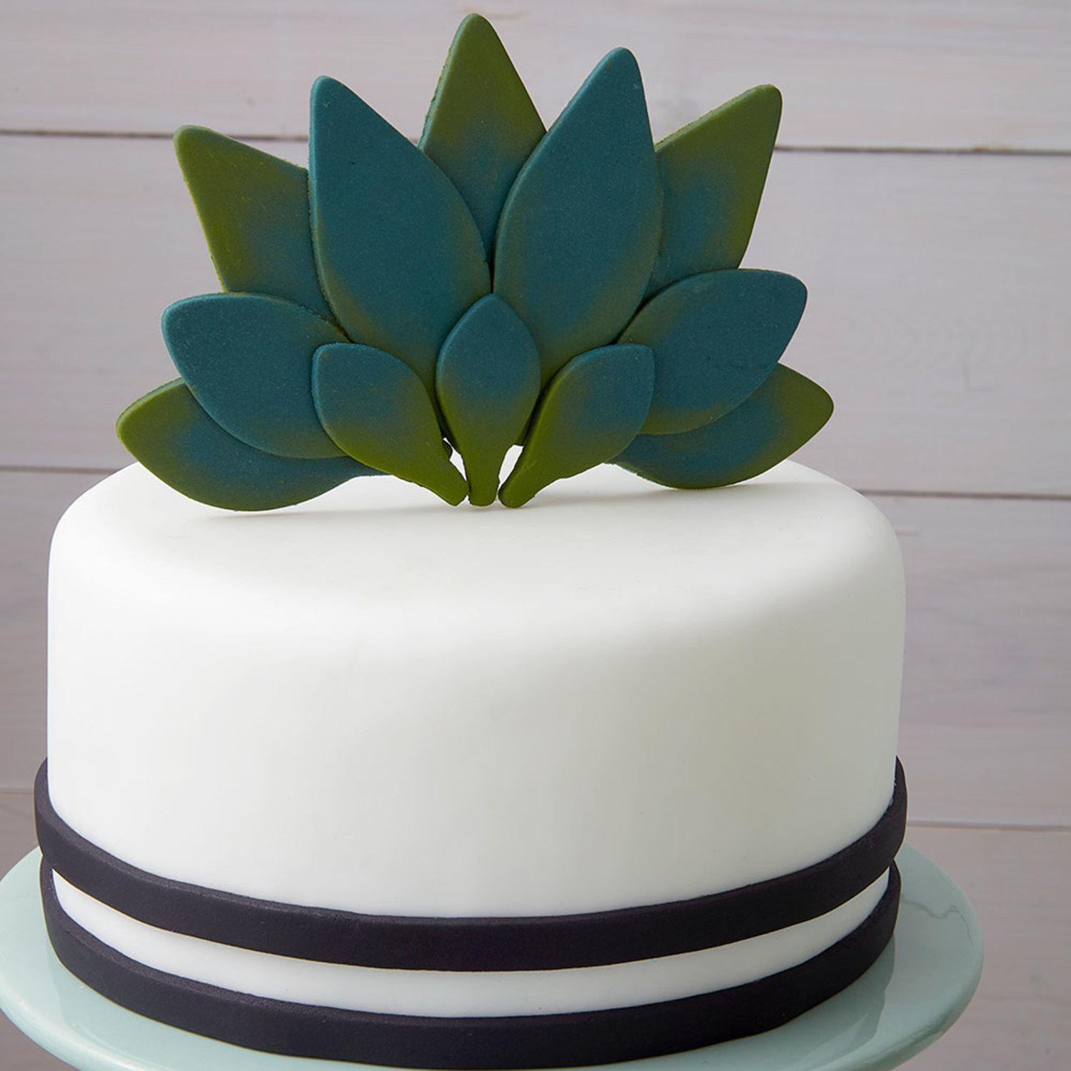 Cactus Decorated Cake