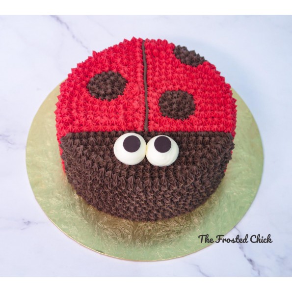 Ladybug Decorated Cake