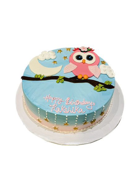 Owl Decorated Cake