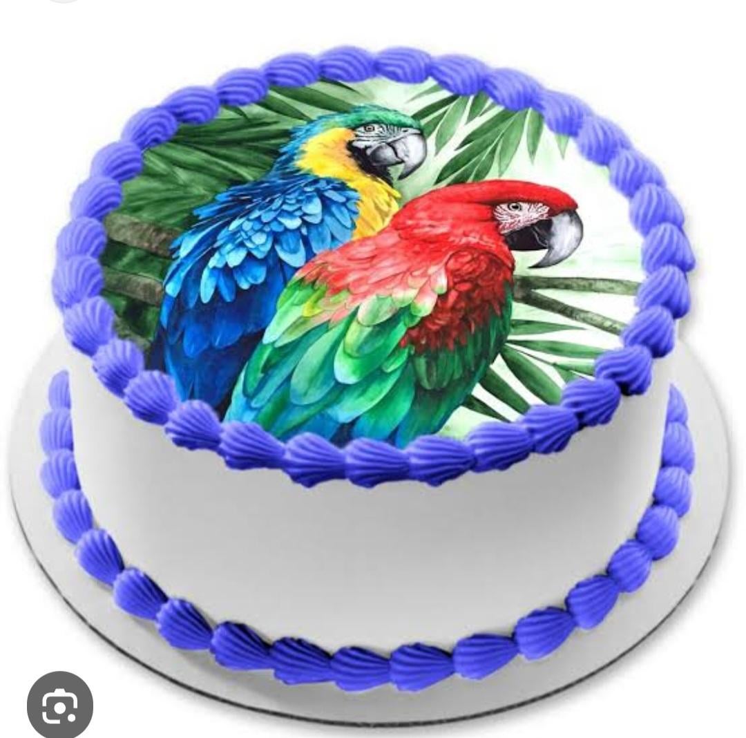 Parrot Decorated Cake