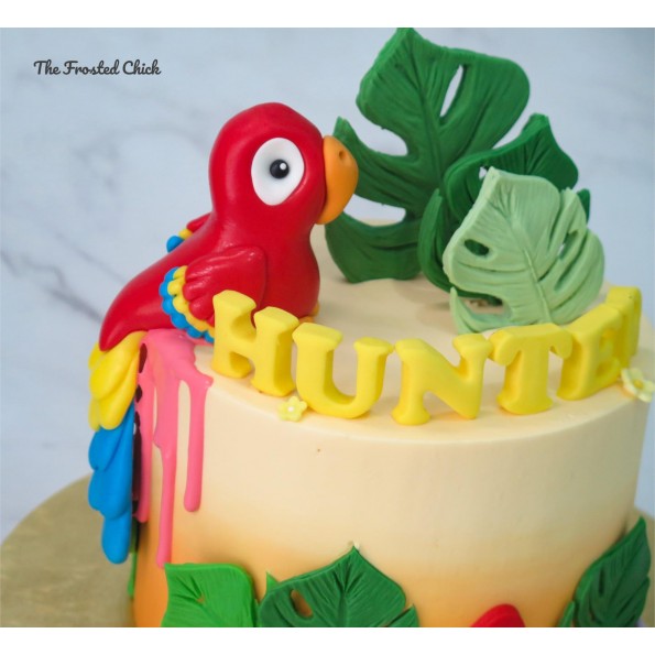 Parrot Decorated Cake