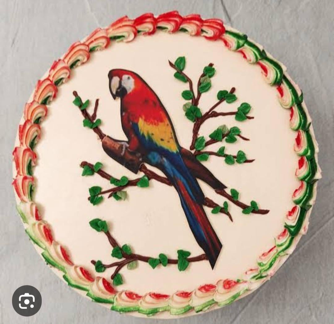 Parrot Decorated Cake