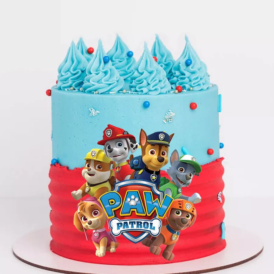 Paw Patrol Decorated Cake