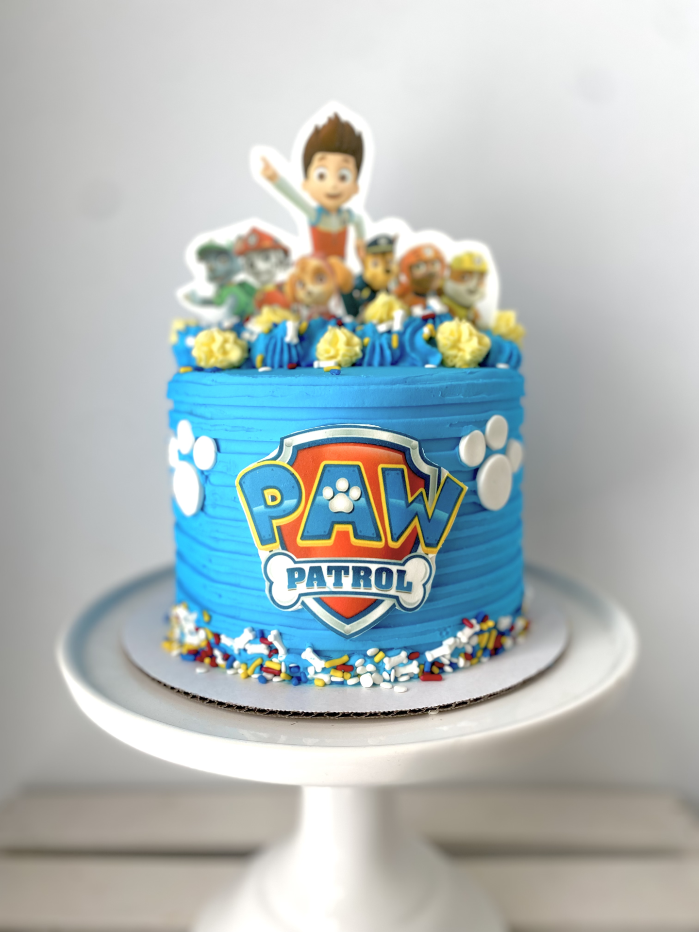 Paw Patrol Decorated Cake