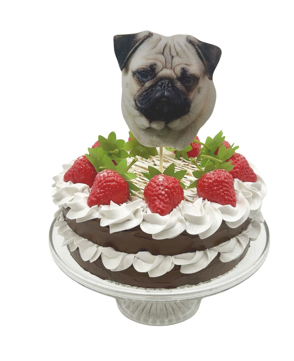 Pug Decorated Cake