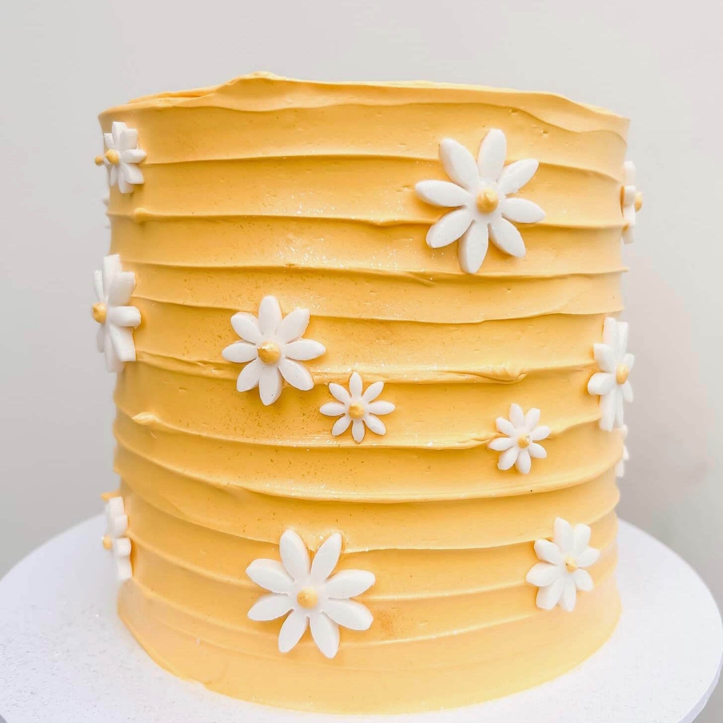 Decorated Cake Daisies