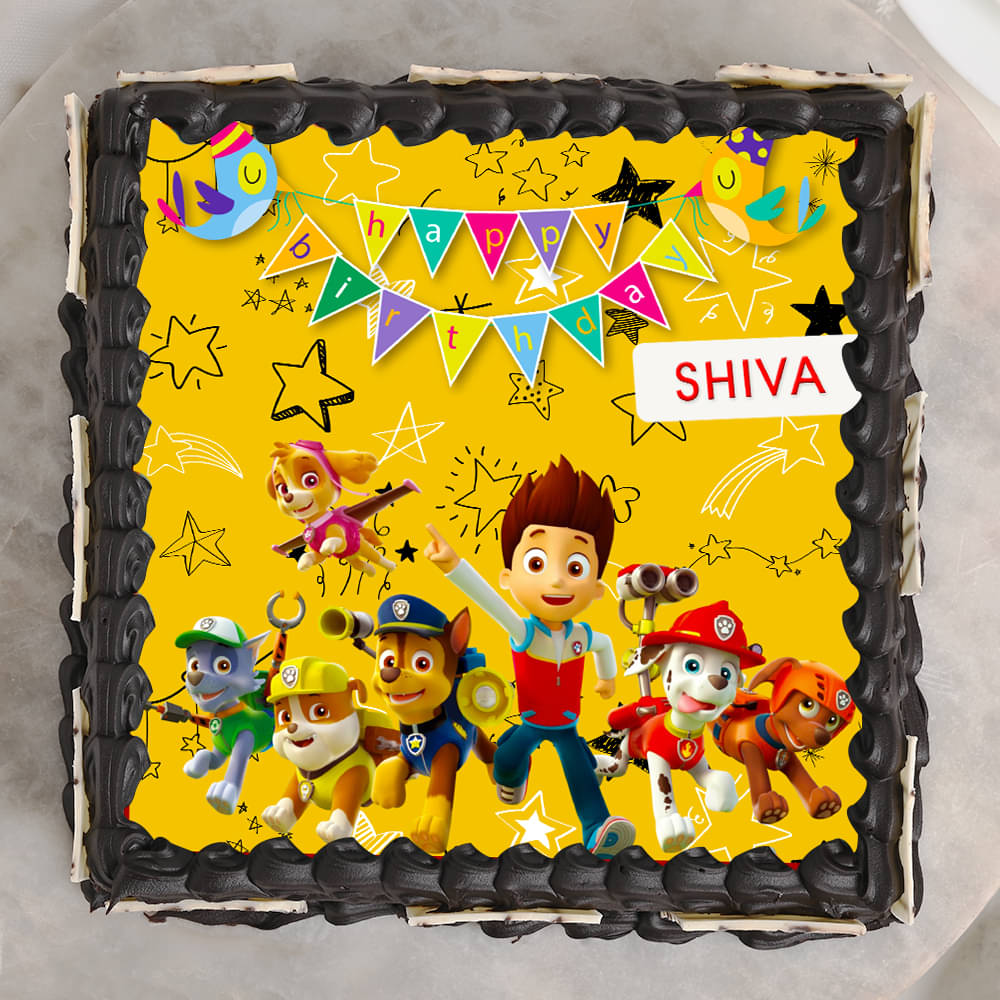 Paw Patrol Decorated Cake